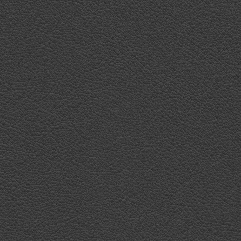 Soft Pad Chair EA 219