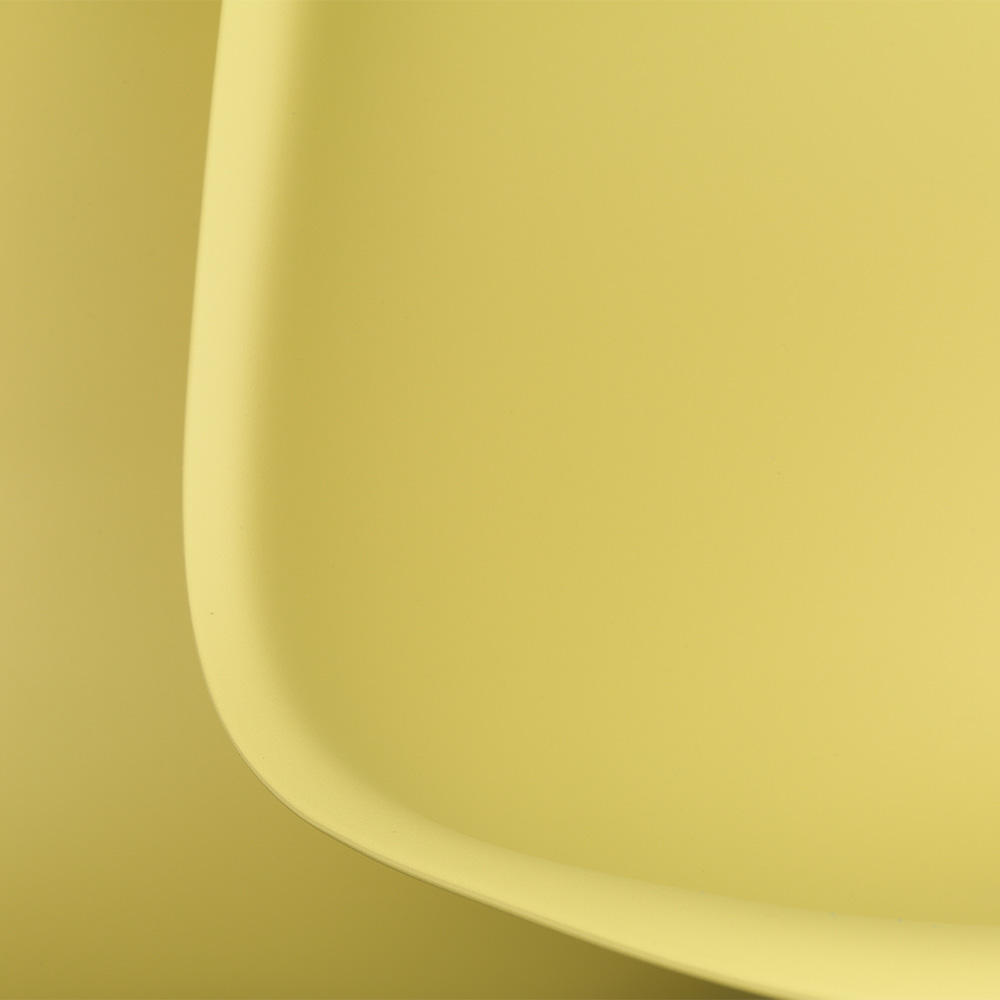 Eames Plastic Armchair RE RAR