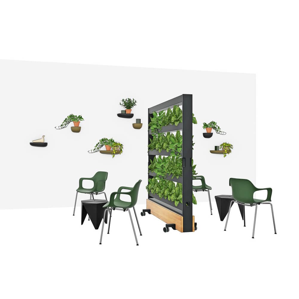 Dancing Wall Pflanzenwand
