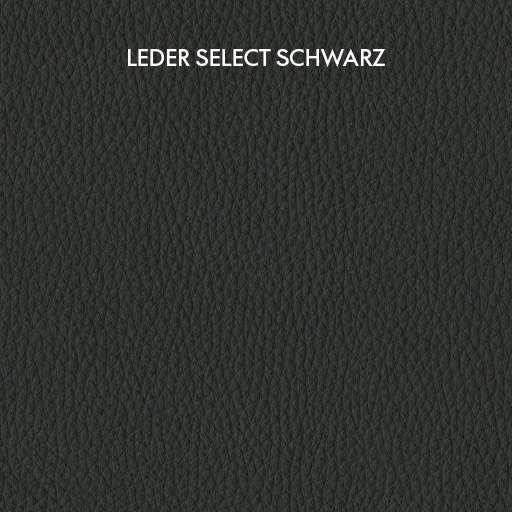 Leadchair Management 2070