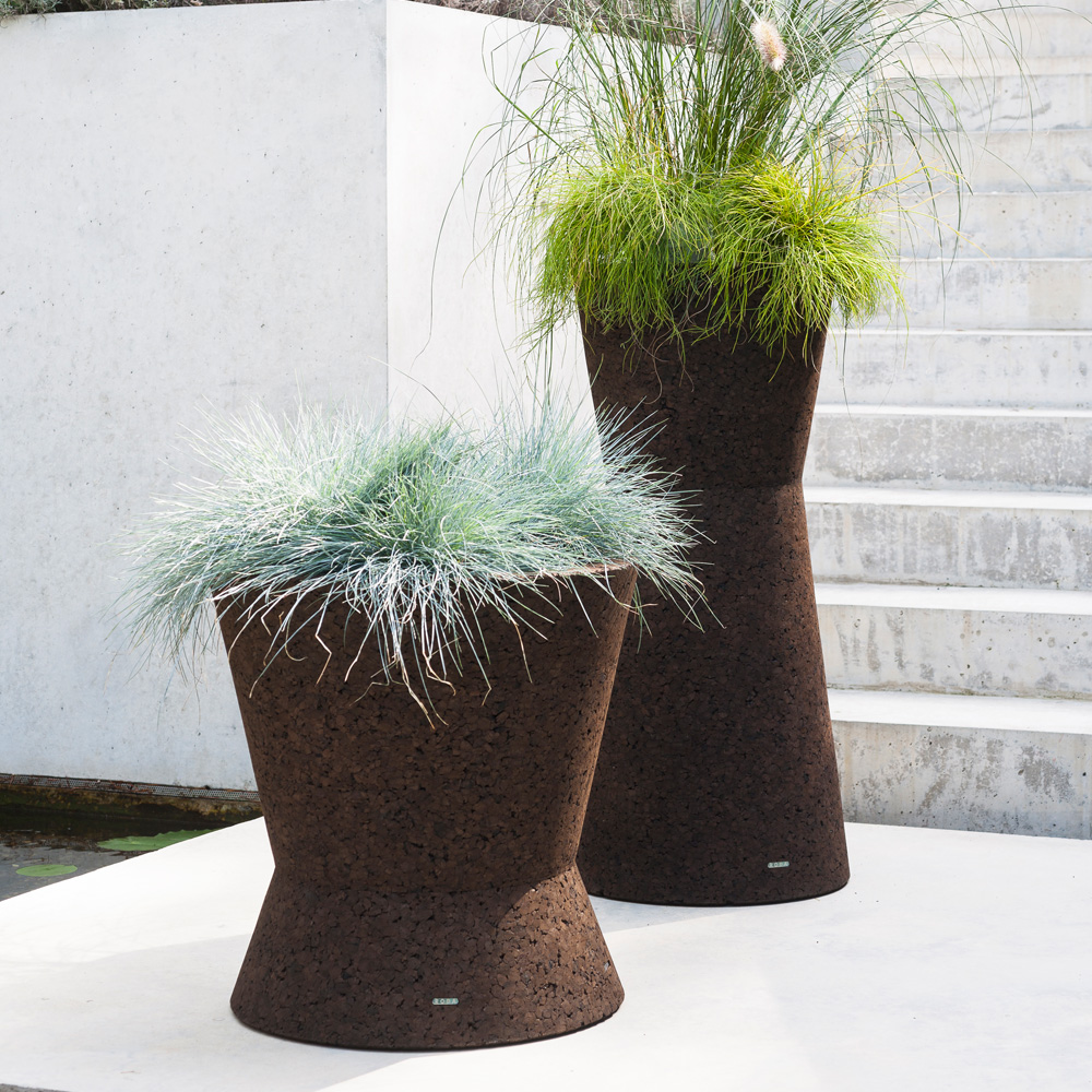 Bush on Pflanztöpfe